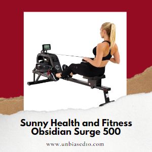 Sunny Health and Fitness Obsidian Surge 500